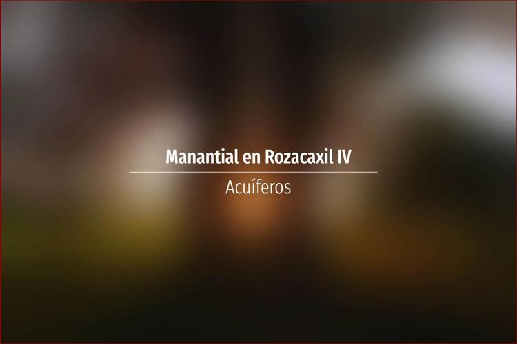Manantial en Rozacaxil IV
