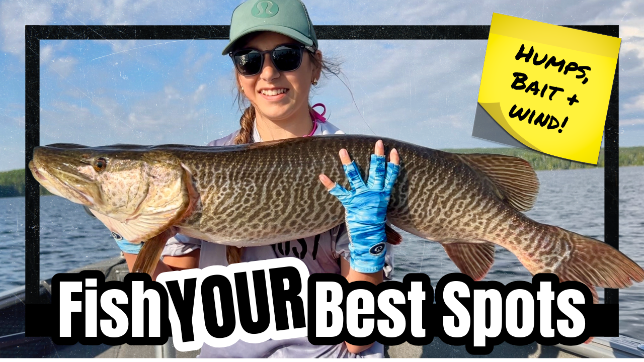 UNLOCKING YOUR MUSKY PATTERN