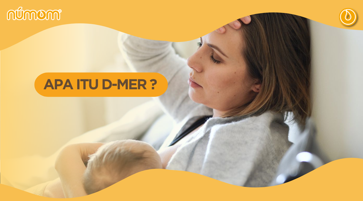 APA ITU D-MER?
