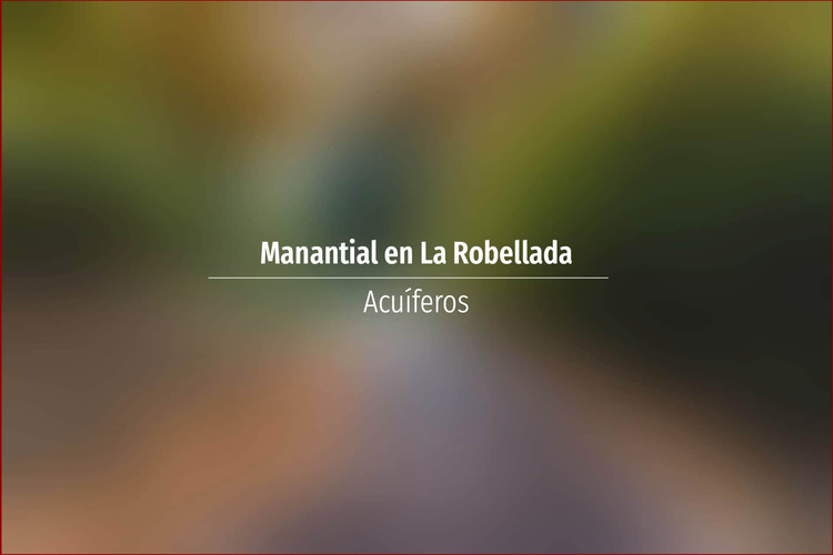 Manantial en La Robellada