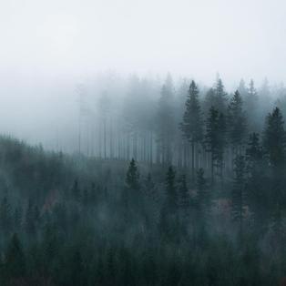 O fim de encantamentos antigos