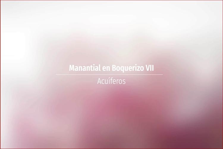 Manantial en Boquerizo VII