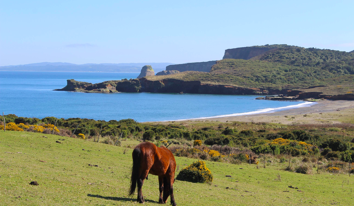 Isla Amortajado – Patrimonio Alfarero de Maullín | Guía App Chiloé Turismo en Maullín, Patagonia Costa, Sur de Chile