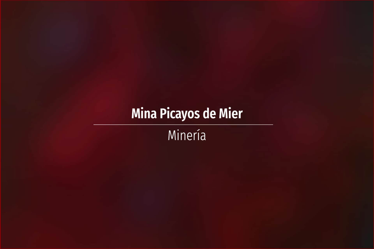 Mina Picayos de Mier