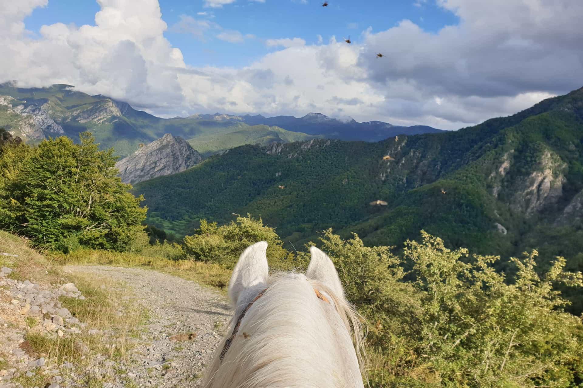 Asturias rutas a caballo