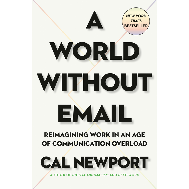 Sampul A World Without Email