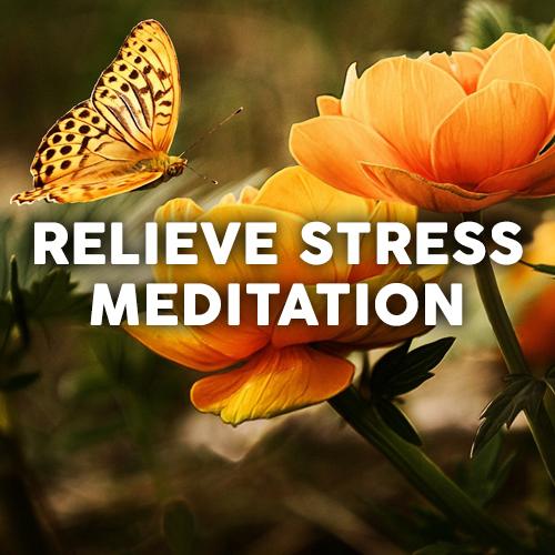 Guided Meditation for Beginners to Relieve Stress and Anxiety