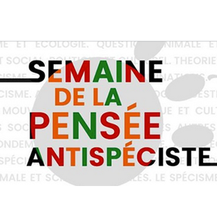 Entretien avec les organisateurs