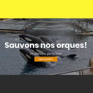 Marineland organise-t-il un mercato des Orques ?