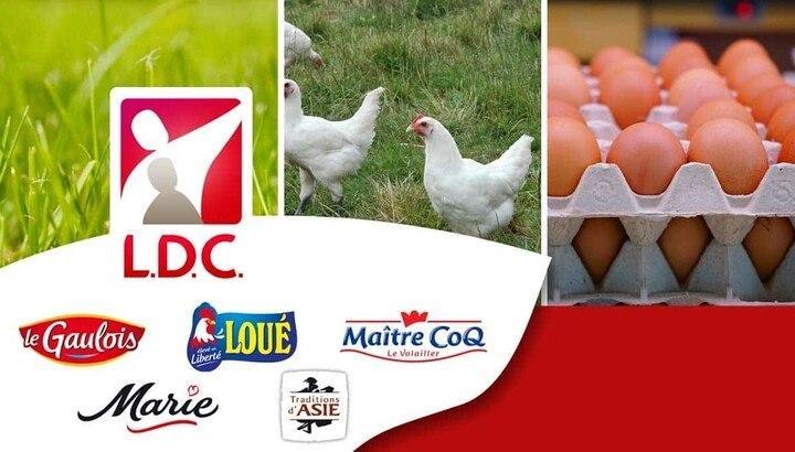 LDC affiche 3,74 milliards d’euros de chiffre d’affaires au 1er semestre et confirme ses objectifs