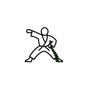 Judo inclusivo