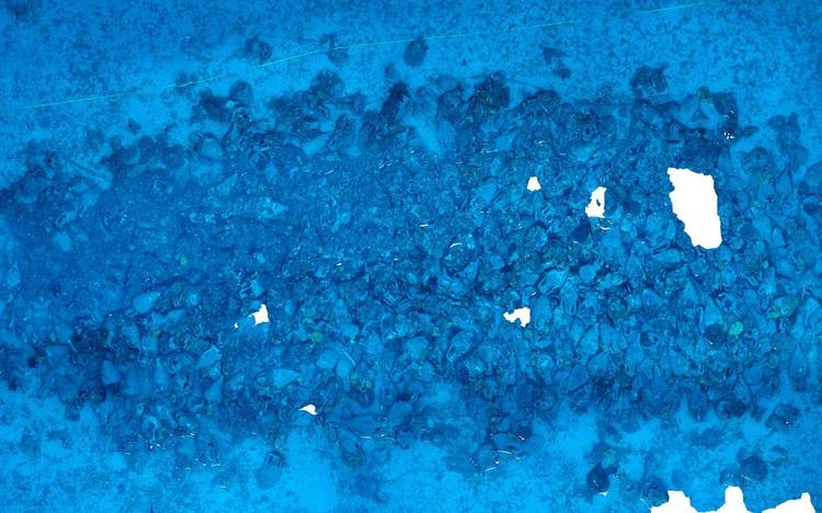 Ancient shipwreck carrying hundreds of amphorae discovered off Andros