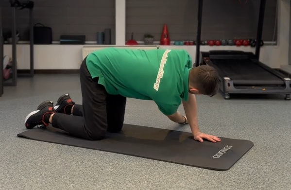 #17 Patrupedie rotații de trunchi (Quadruped trunk rotations)