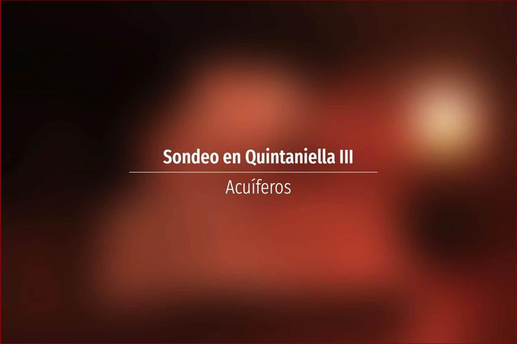 Sondeo en Quintaniella III
