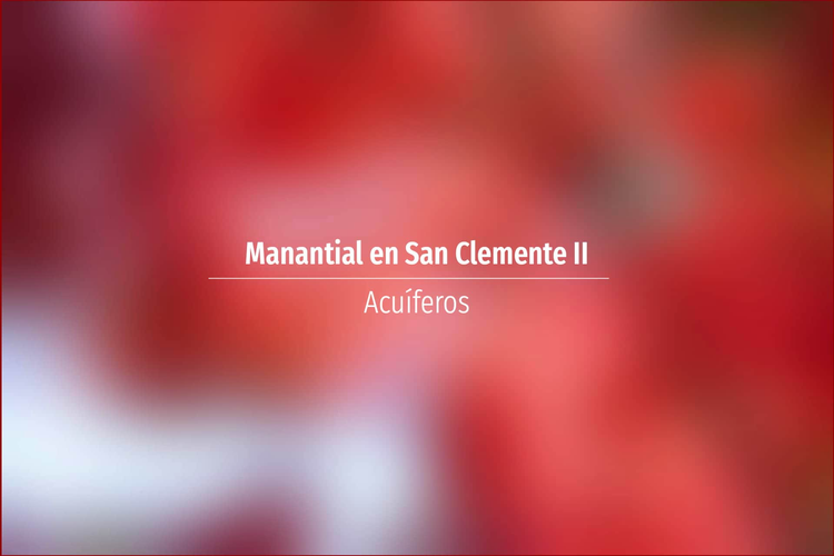 Manantial en San Clemente II