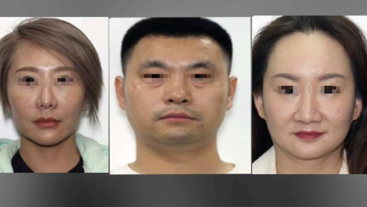 加拿大三名华人诈骗华人被捕