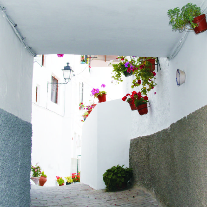 4. Andalusian neighborhood