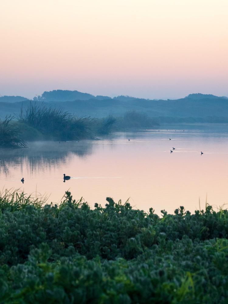 Embodying Calm