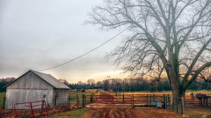 2016 – Long Delite Farm, Williamsport, Maryland