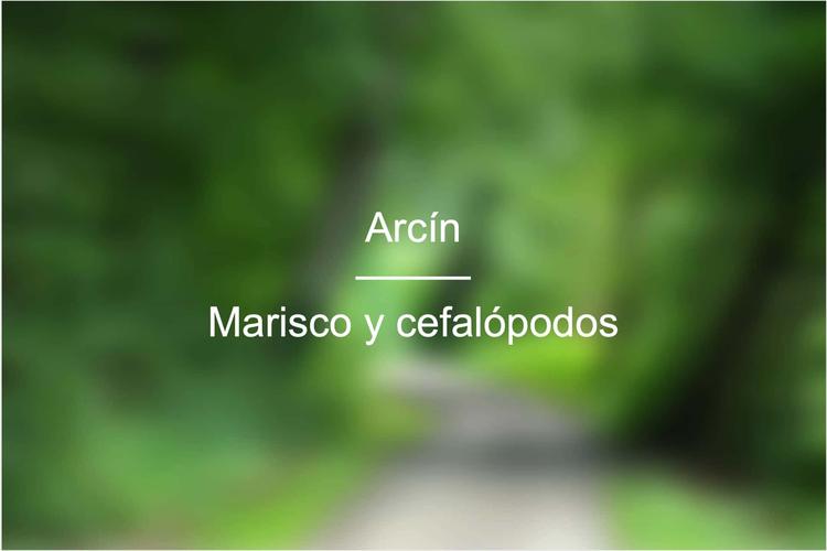 Arcín