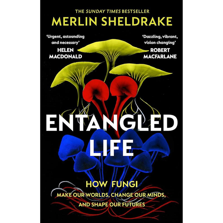 Sampul Entangled Life