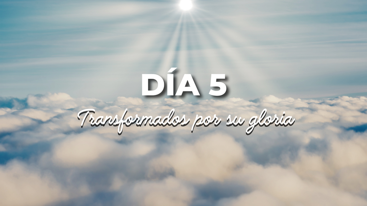 Día 5