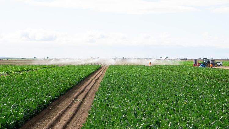 El Gobierno de España ingresa 12,3 millones de euros en ayudas por los daños causados por las lluvias a 754 agricultores de Lebrija