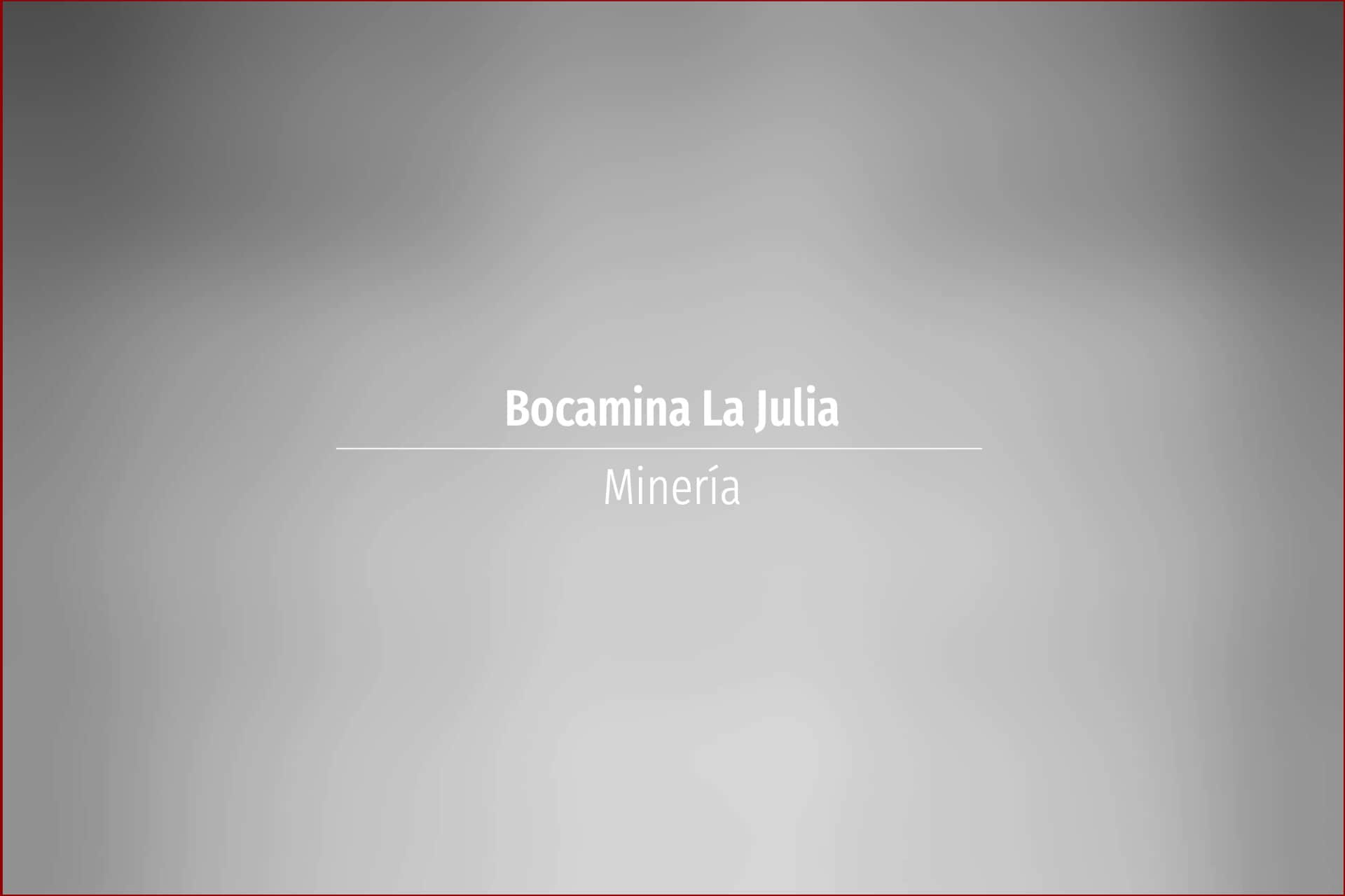 Bocamina La Julia