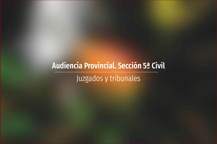 Audiencia Provincial. Sección 5ª Civil