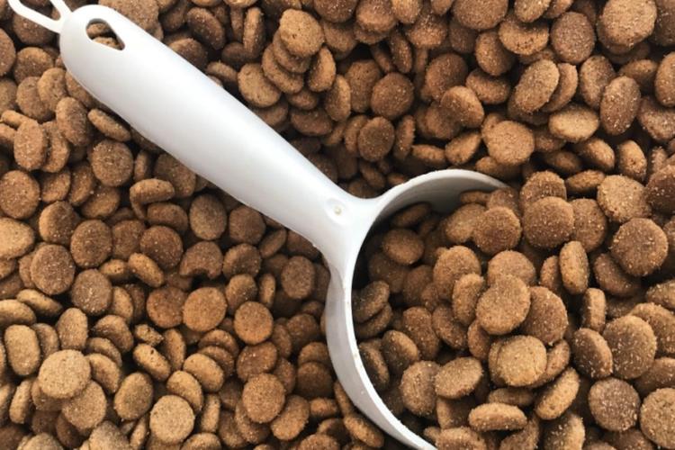 Choosing the Best for Your Pup: Dog Food Ingredients to Avoid