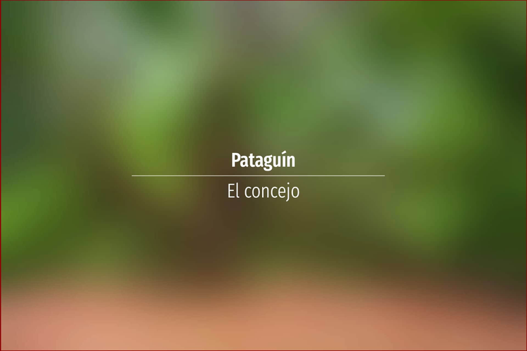 Pataguín