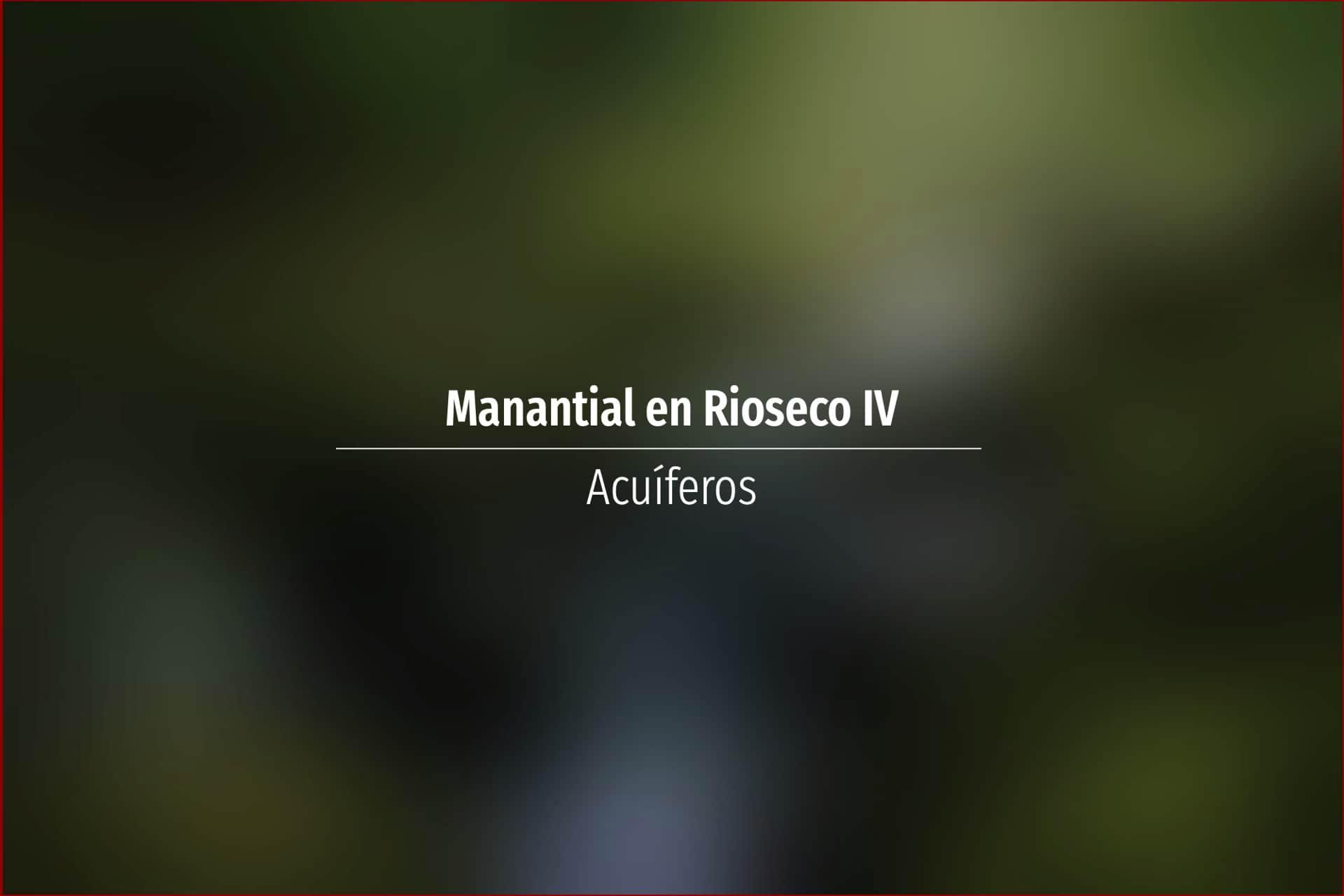 Manantial en Rioseco IV