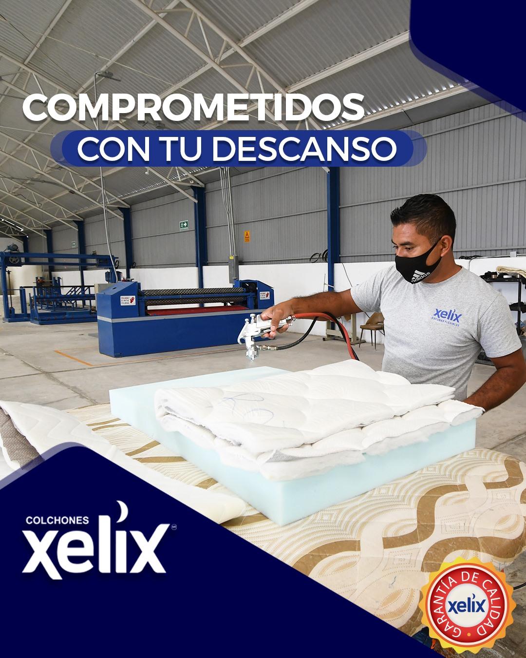 Xelix, Empresa Chiapaneca de Calidad Mundial