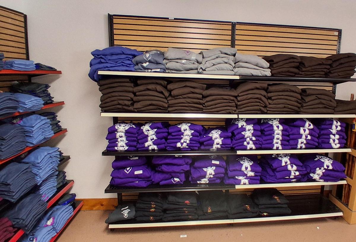 Additional Adult Sweatshirts and T-Shirts
