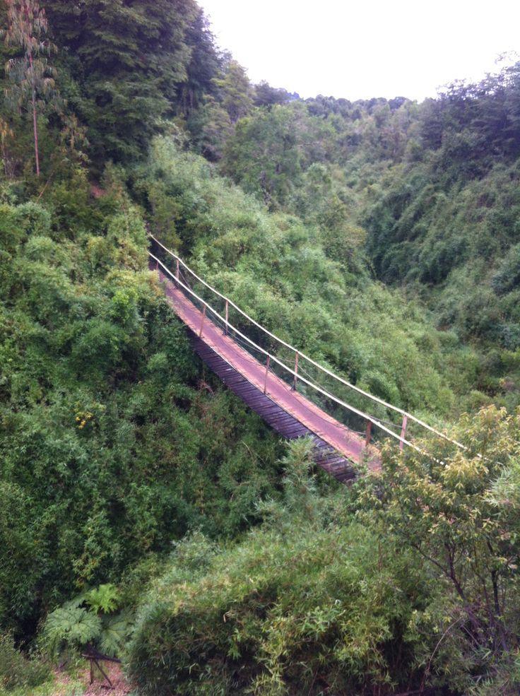 Parque Yayanes en Puqueldon, Chiloé, Sur de Chile