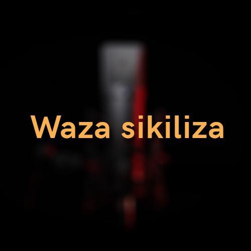 Waza sikiliza : La piste du lézard sans queue