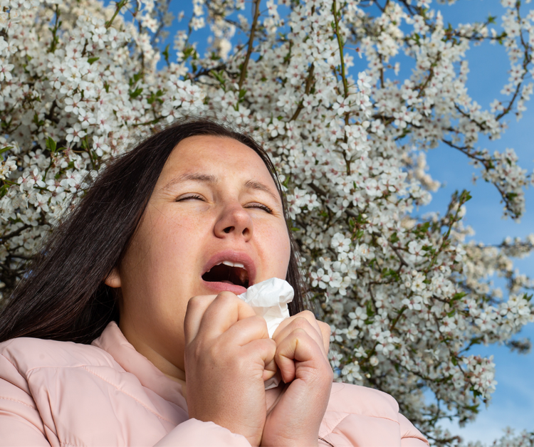 Allergien & die Top 7 ätherischen Öle