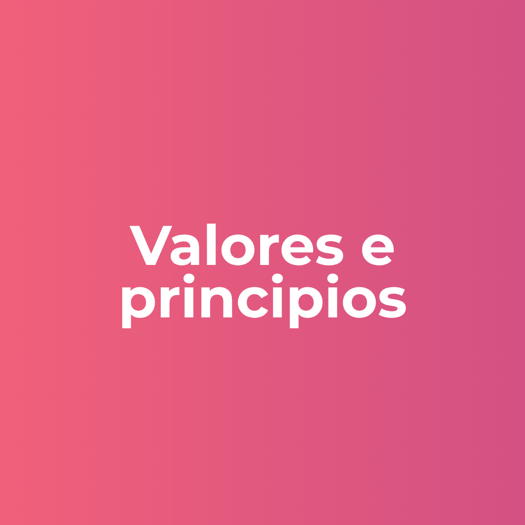 Valores e principios