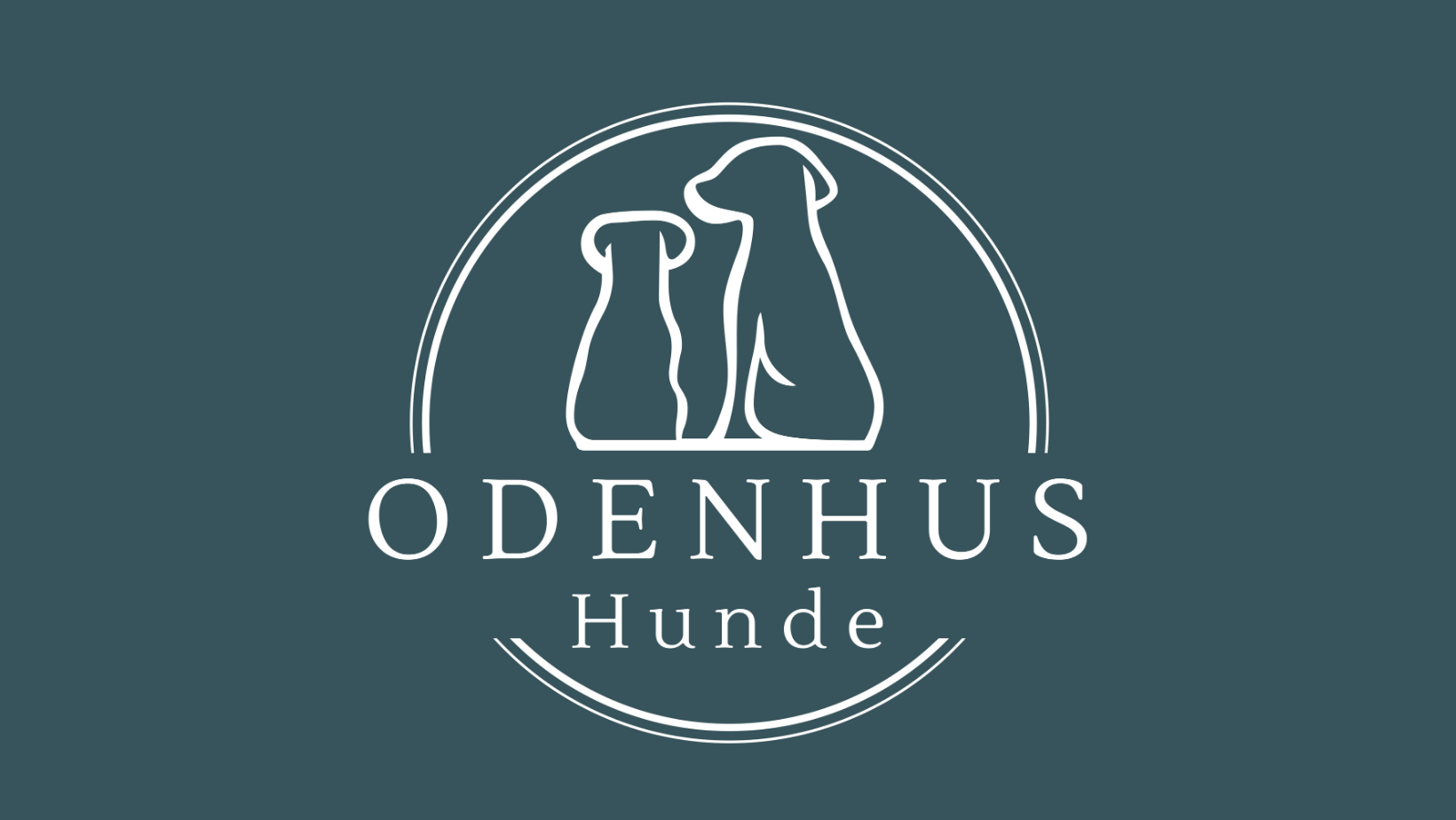 🐾 Odenhus Hunde wächst: Betreuung für eure Vierbeiner🐶🏠