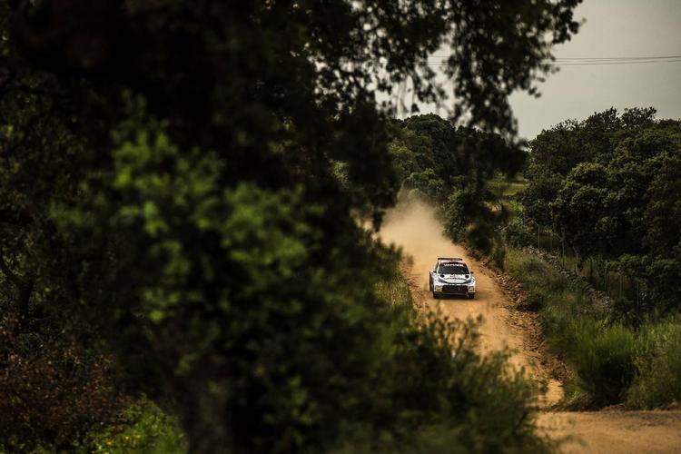 Rallye Ciudad de Pozoblanco 2026 › Clasificación › TC B2: Pedroche