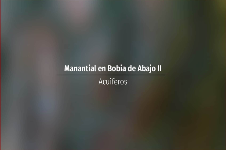 Manantial en Bobia de Abajo II