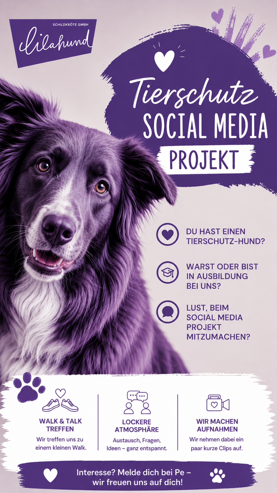 Tierschutz-Social-Media-Projekt