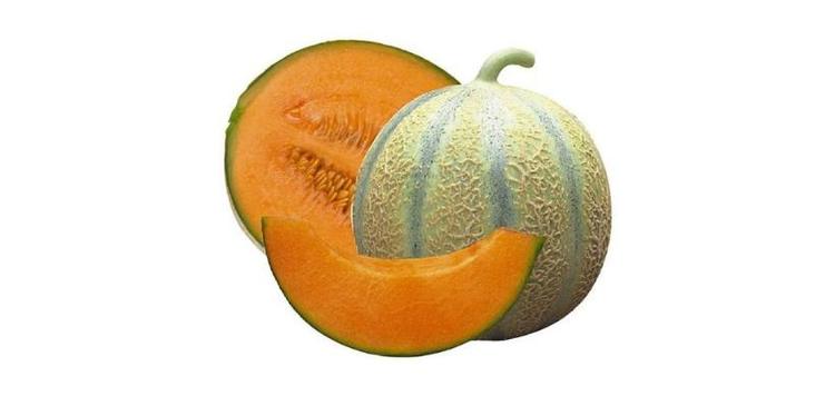 Melone Charentais a Polpa Dolcissima