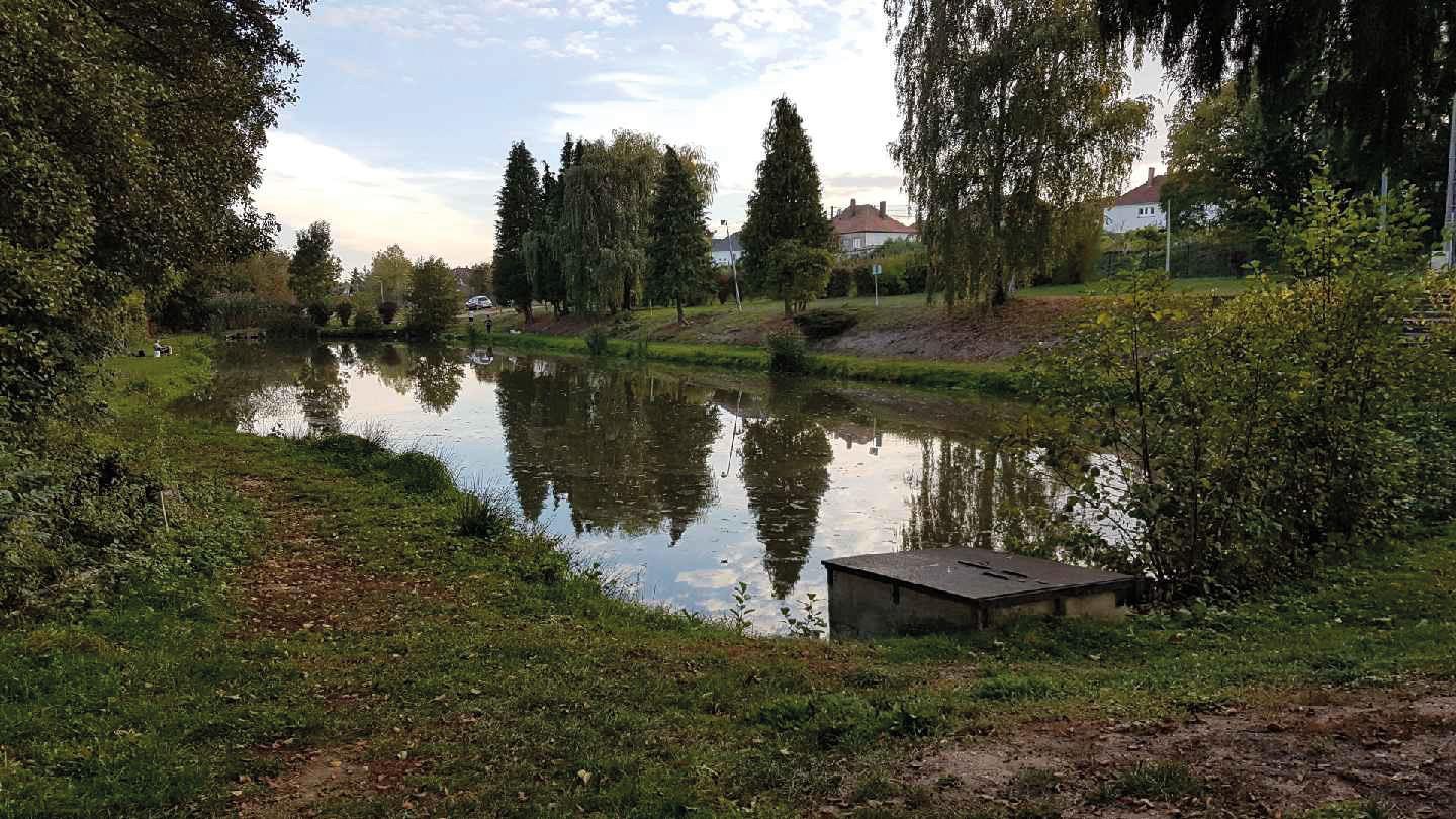 CONCOURS DE PÊCHE 2026