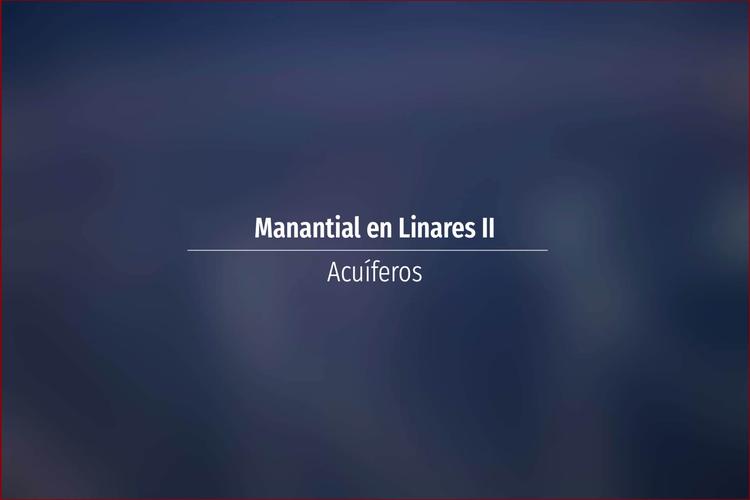 Manantial en Linares II