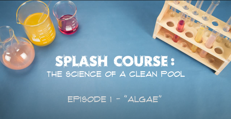 The Science of a Clean Pool: Episode 1 - "Algae"