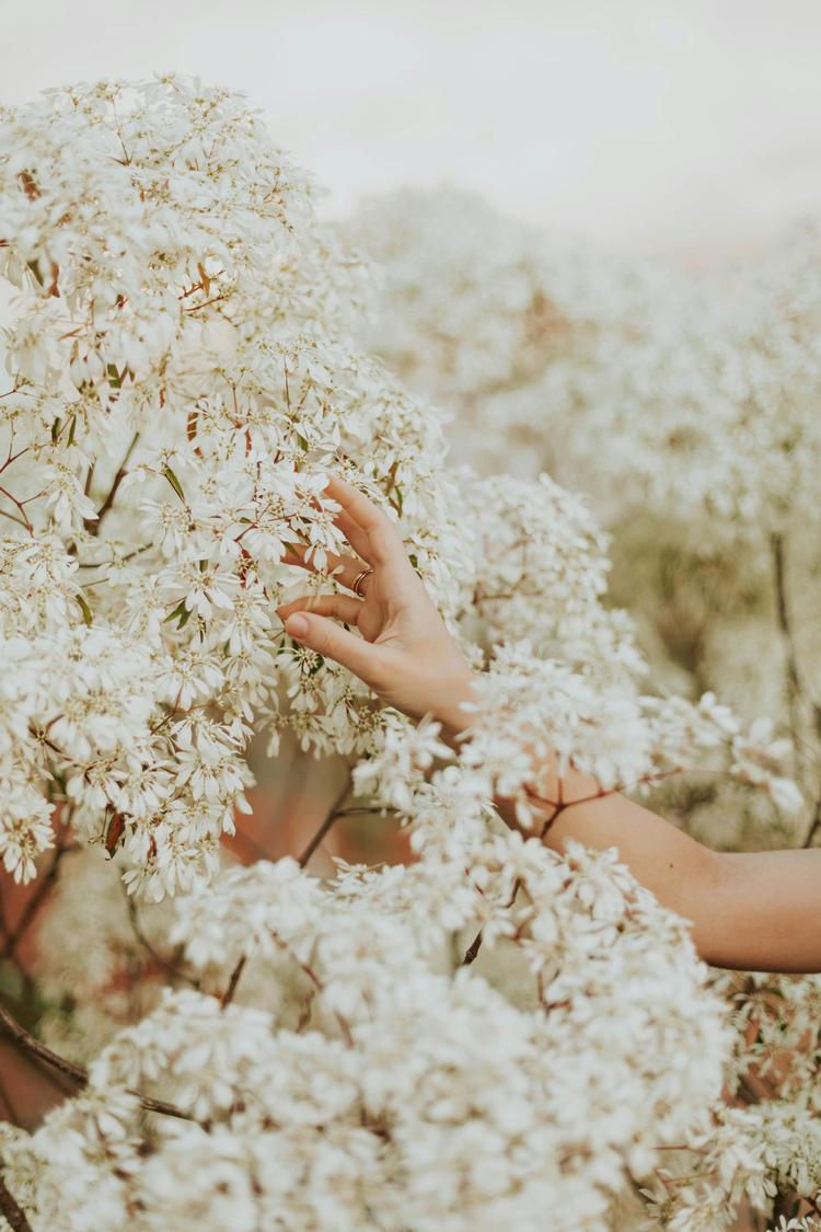 Autoperdão através da autocompaixão