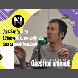 L'éthique de la non-souffrance - Questions #2