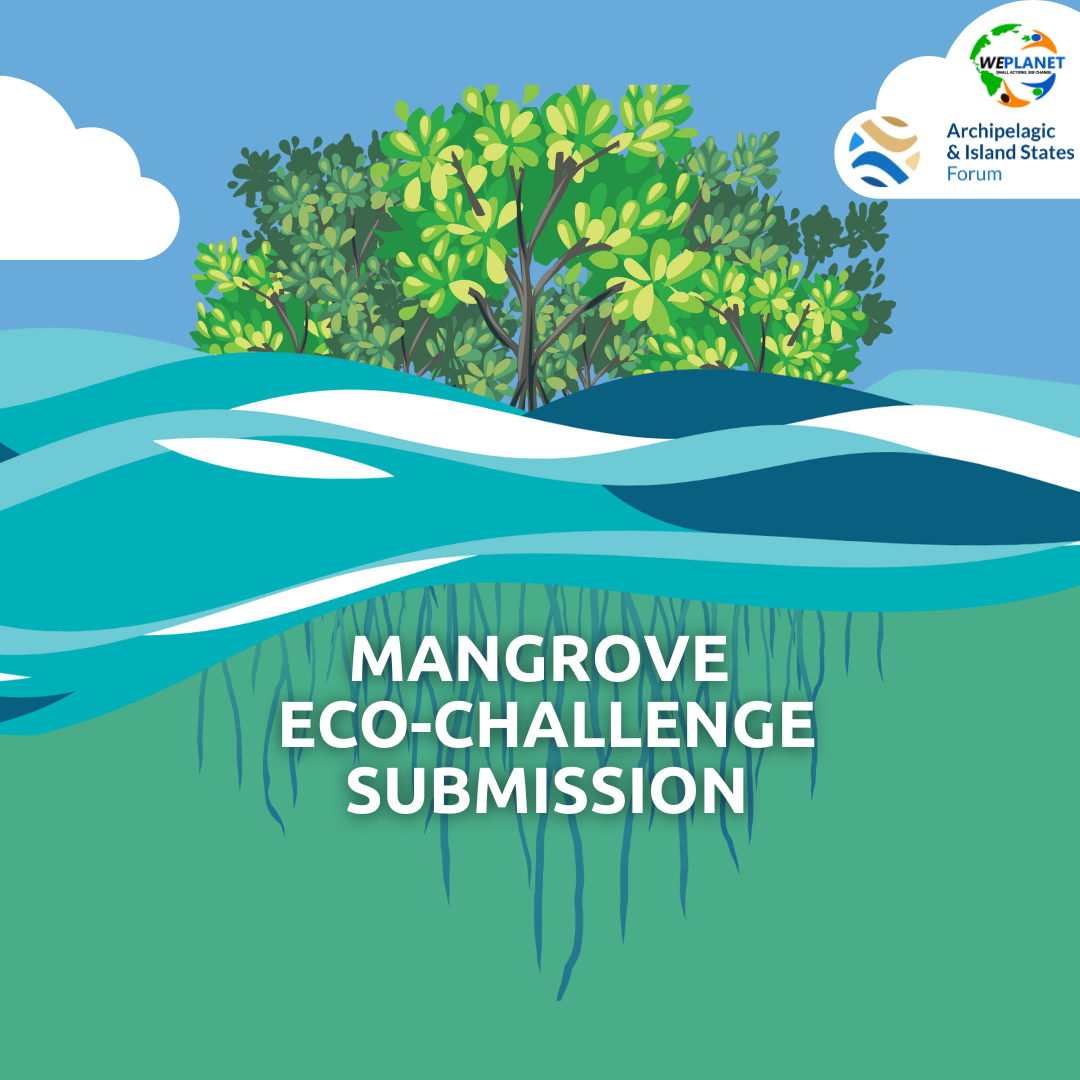 Eco-Warrior Nelister: Mangrove Eco-Challenge