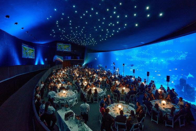 Più di 400 persone si sono riunite al Poema del Mar per una gala dedicata alla protezione degli oceani e della biodiversità marina 
